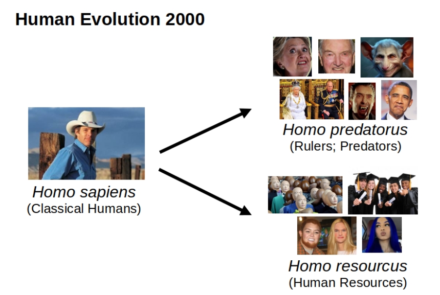 Evolution according to Biobuddha