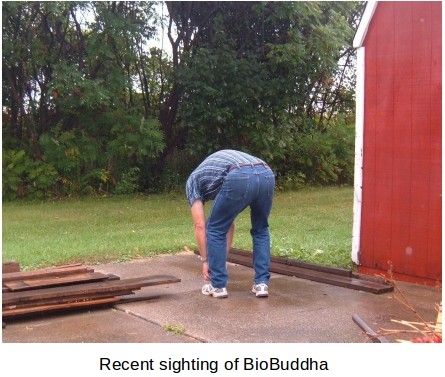 Recent Sighting Biobuddha