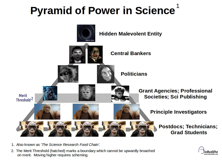 Pyramid of Power in Science