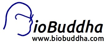 BioBuddha Logo